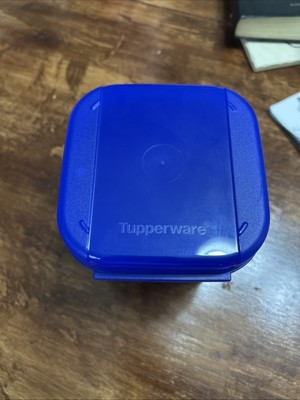NEW Blue Tupperware Medium-Sized Kitchen Container With Attached Lid