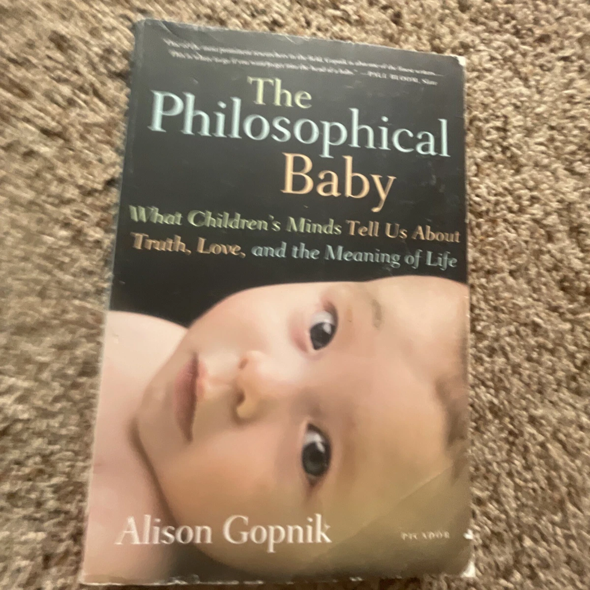 The Philosophical Baby What Children s Minds Tell Us about Truth Love and