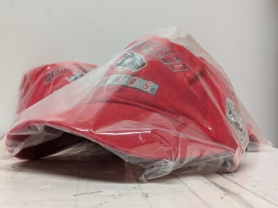 New Mexico Lobos Snapback Dad Hat Small Wolf UNM Logo Red Team Baseball Cap