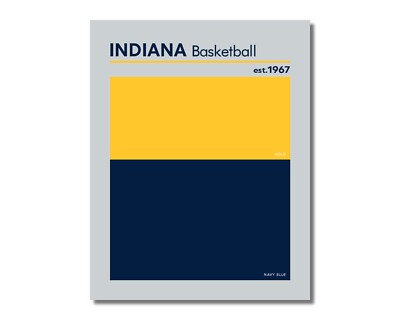 INDIANA Pacers comparable Basketball Color Swatch Photo 8x10 11x14 16x20 (g)