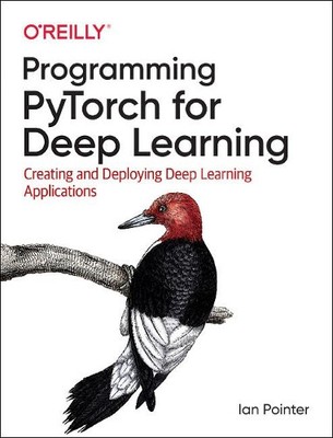 Ian Pointer Programming PyTorch for Deep Learning (Taschenbuch)