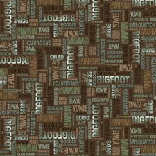 P B TEXTILES - Bigfoot Country by Lauren Radar - Words - Brown ,1/4 yard