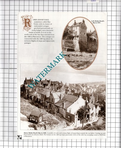 Robin Hood's Bay Yorkshire - Steckling