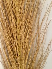 30pc Hawaii Bob’s Basket Weaving Harvest Decor 20”