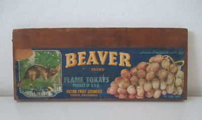 Wooden Sign Victor Fruit Growers BEAVER FLAME TOKAYS Paper on Wood 13.5'' Vtg ZB