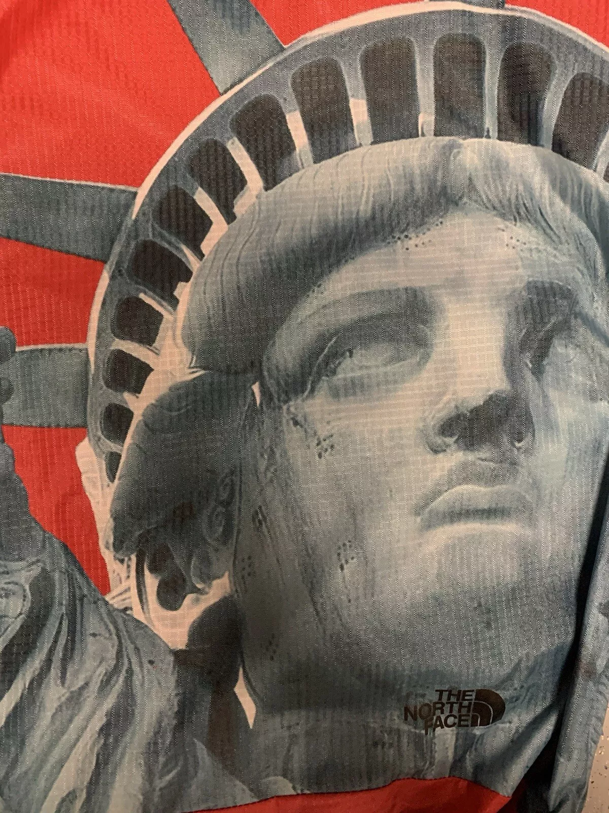 SUPREME THE NORTH FACE Statue OF Liberty Face Sac à dos imperméable (ROUGE) FW19