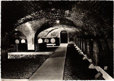 CPM La Cave du Bourgogne FRANCE (1376359)