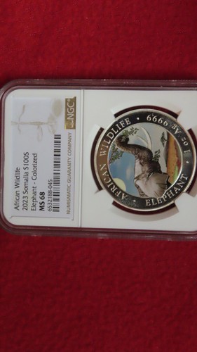 2023 Colorize Somalia 100 Shillings African Elephant .999 Silver Coin NGC MS68 - Picture 3 of 4