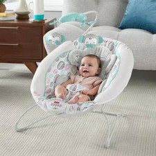 fisher price rainforest friends deluxe bouncer