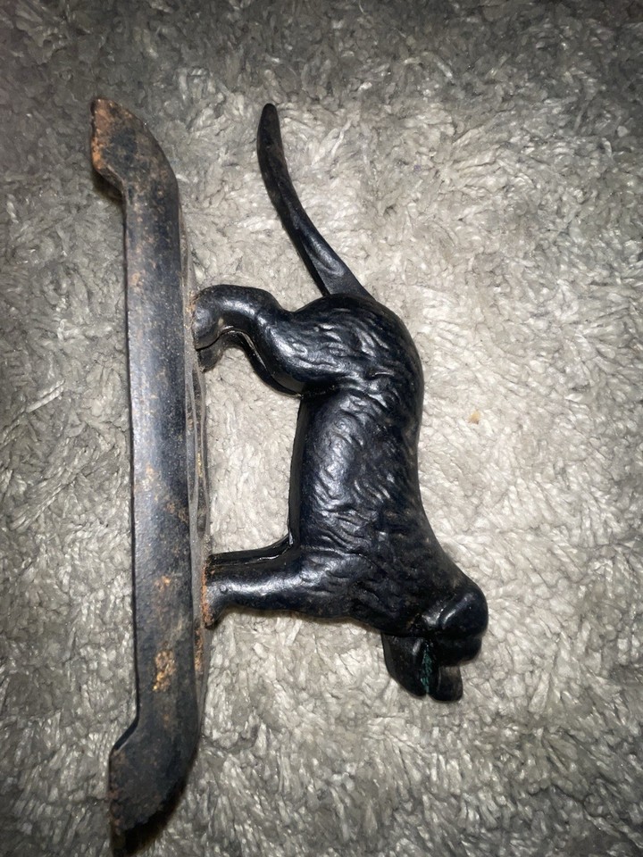 A cast iron dog nutcracker that moonlights as a bold piece of vintage folk art — functional, conversation-starting, and genuinely one-of-a-kind.