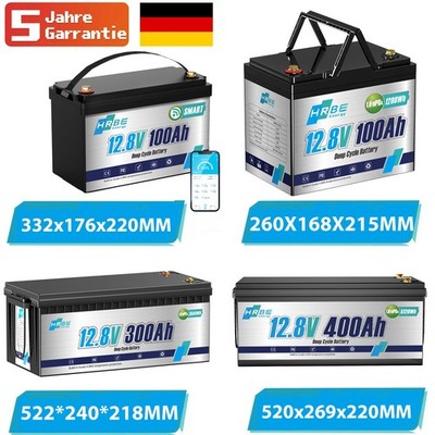 100Ah 200Ah 300Ah 12V LiFePO4 Lithium Batterie BMS Akku Wohnmobil Boot 10 Jahre