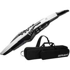 Roland Aerophone AE-20 Digital Wind Instrument Carrying Bag Included New