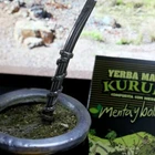 Kurupi Mint Boldo Yerba Mate 500 g