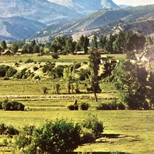 Snow capped mountains Carbondale Colorado Grazing Cattle Green Valley postcard