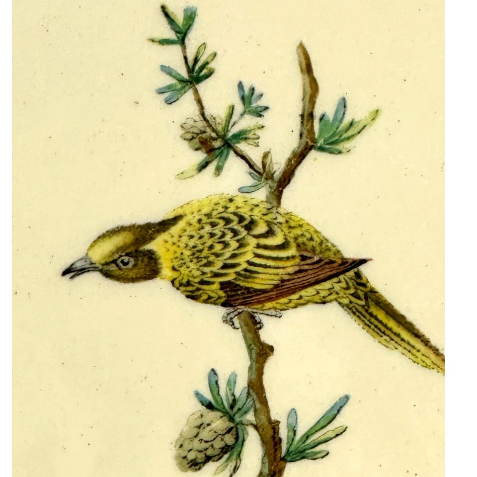 Placa Copeland Spode movimento estético 1870-1890 Chelsea Bird Butterfly 8 3/8"  - Imagem 2 de 4