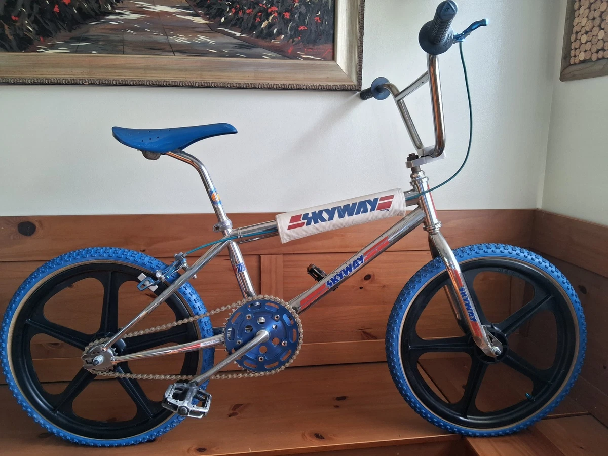 Preços baixos em Bicicleta BMX antiga Bicicletas antigas | eBay