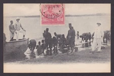 Postcard, BELGIAN CONGO, Arrival of the boat