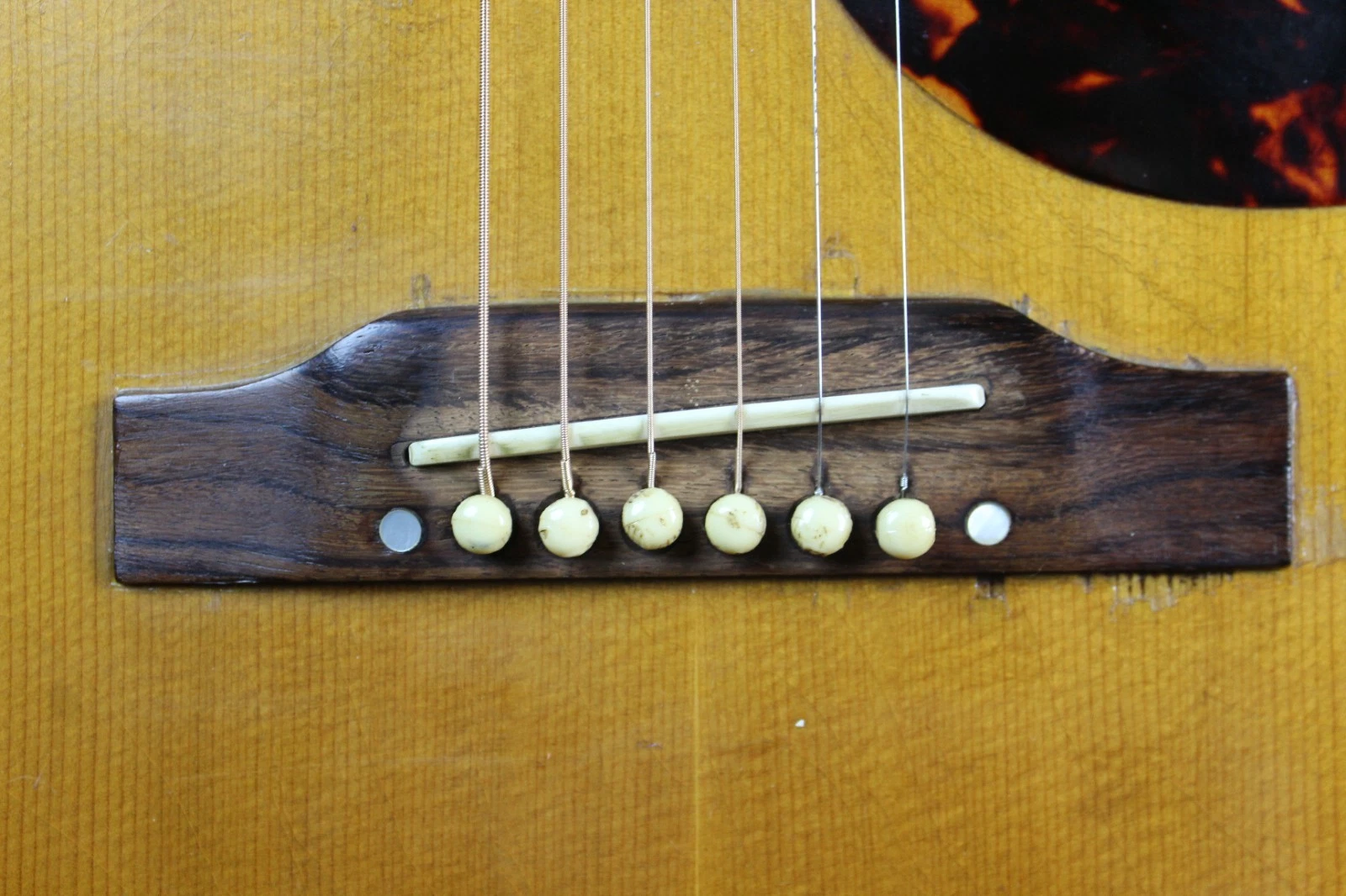 Picture 5 of 20