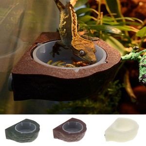 gecko ledge feeder