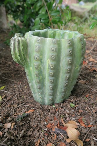 CACTUS PHOENIX POT PLANT PLANTER SUCCULENTS GARDEN PLANT FEATURE SET OF 2 - Picture 3 of 6