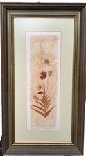 Signed Pressed Botanical Art By Ed Morris Palmer Original Framed Nature Artwork