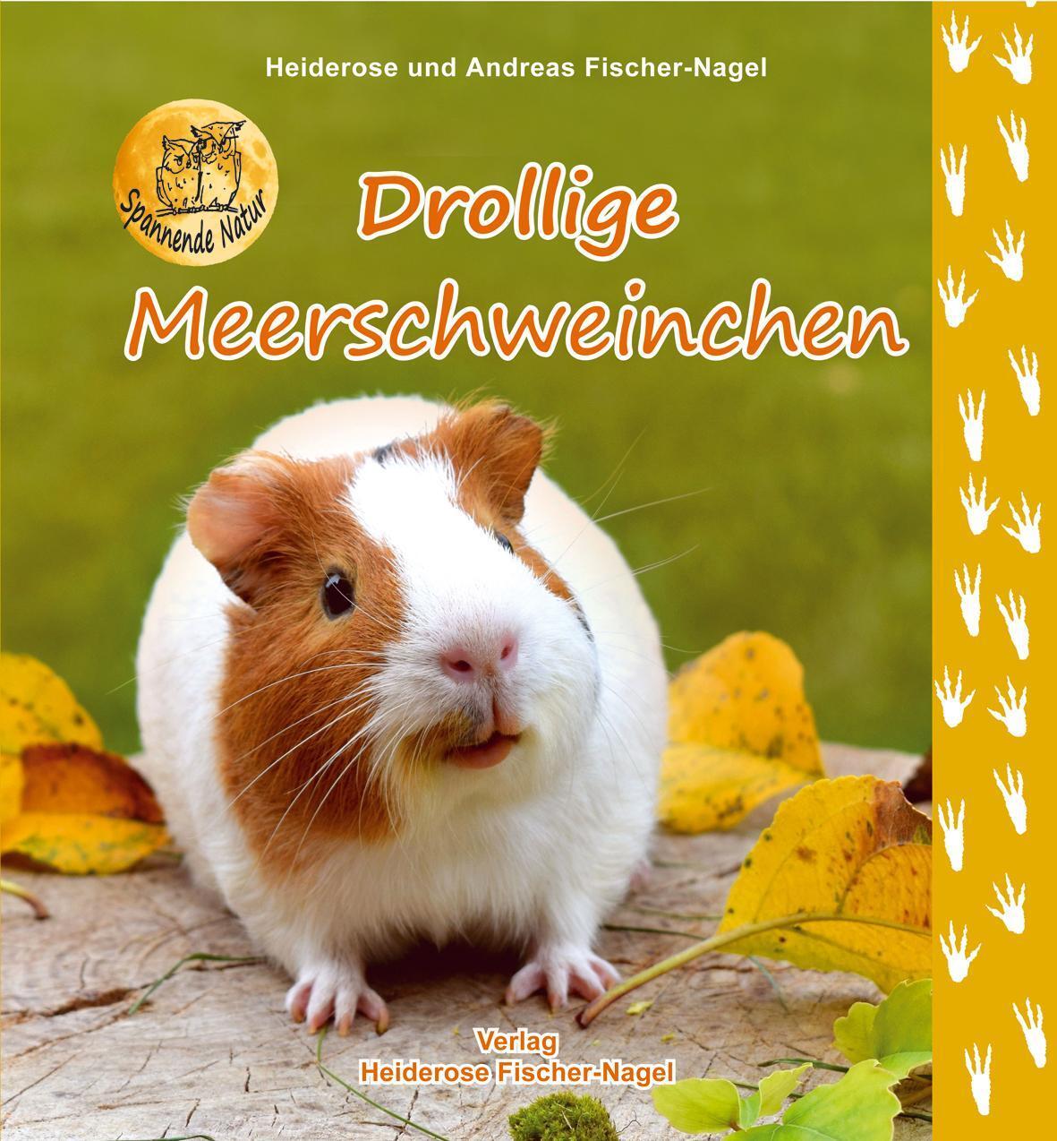 Thumbnail - Drollige Meerschweinchen Heiderose Fischer-nagel