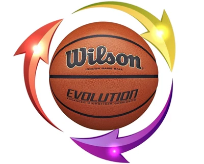 Wilson Evolution 29.5" Youth Adults Basketball Indoor Official Size High Grip