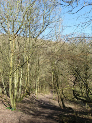 Photo 6x4 Inner Horseshoe, Pepperscombe Steyning Dropping down into a dip c2009