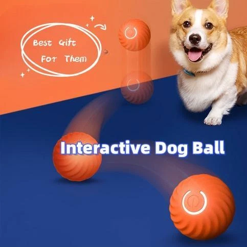 Dog moving shop ball