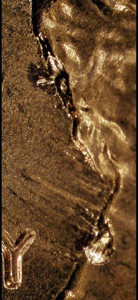 2021-P Lincoln Shield . Errors: Defective Die , Doubled Earlobe, Etra Earlobe. - Image 3 of 4