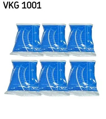 Schmiermittel VKG 1001 SKF