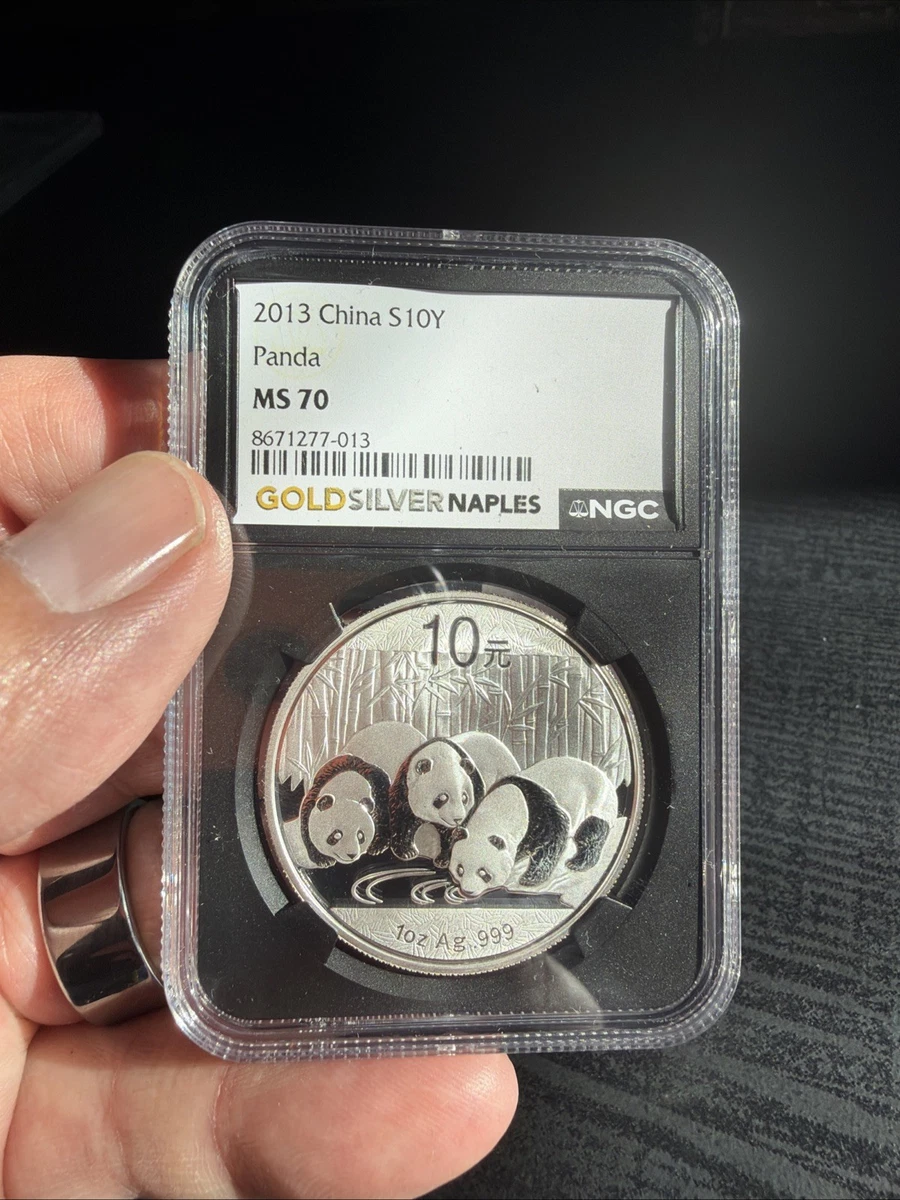 25+ Chinese Mint Silver Bullions for sale | Updated Oct 2026
