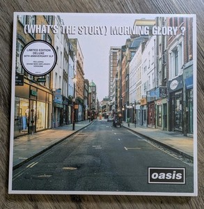 Oasis Morning Glory | eBay
