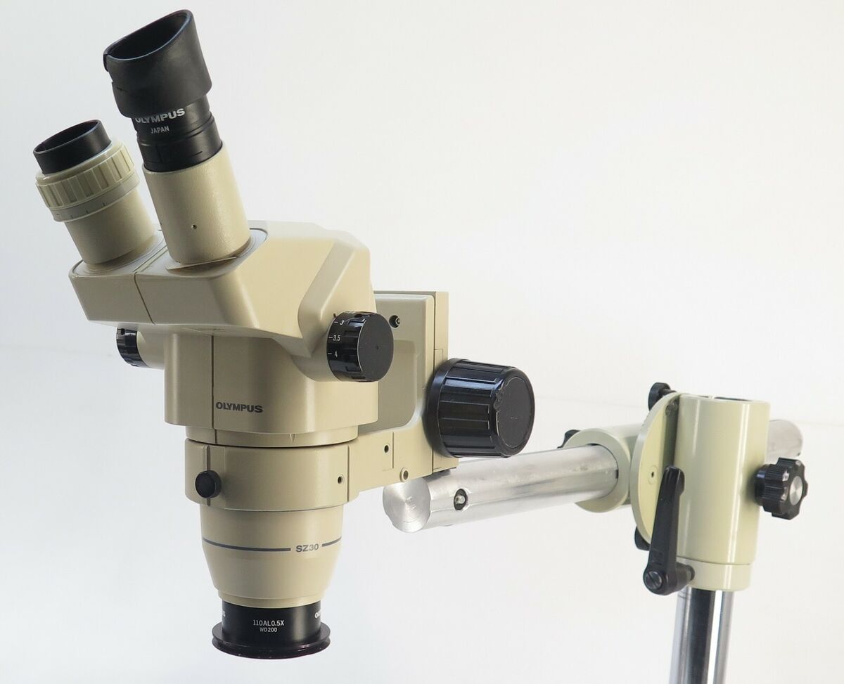 Olympus SZ-3060 Zoom Stereo Microscope | eBay Olympus SZ-3060 Zoom Stereo Microscope | eBay