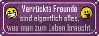 Blechschild 10X27 Cm VerrüCkte Freunde Sind Alles Was Spruch Zitat Deko Geschenk