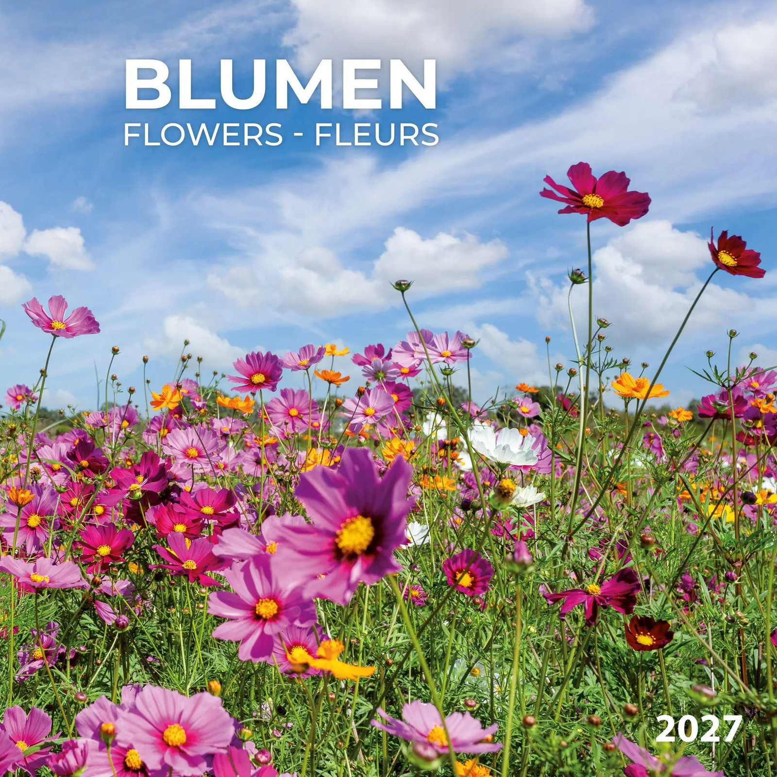 Blumen / Flowers 2027 | Kalender 2027 | Englisch | Kalender | Artwork Edition - Bild 4