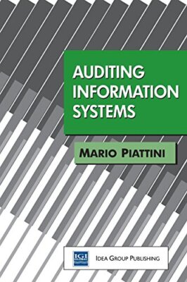 Auditing Information Systems by Piattini  New 9781878289759 Fast Free Shipping-
