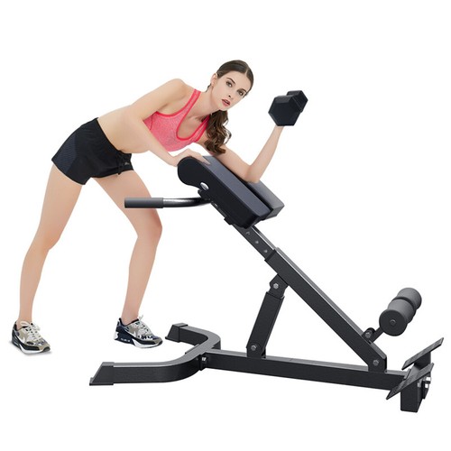 PORIYA Roman Chair Back Extension Hyperextension Bench Multi-Function Adjustable - Picture 19 of 22