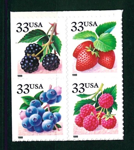 US Scott # 3294, 3295, 3296, & 3297 Fruit Berries Block of 4 / 1999 MNH BLK Pane - Picture 2 of 2