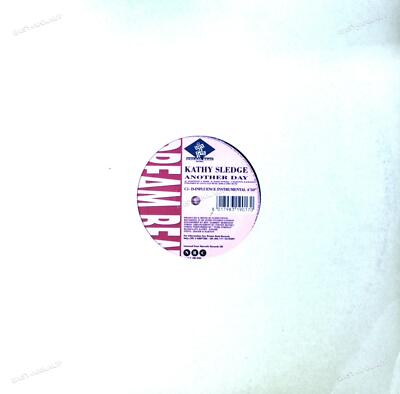 Kathy Sledge - Another Day 2Maxi 1995 (VG/VG) .