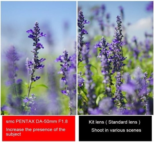 Versatile DA 50mm f/1.8 Lens for Beautiful Focus Control and Easy Switching - Picture 8 of 9