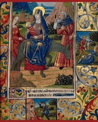 Western Illuminated Manuscripts - 9781851776498