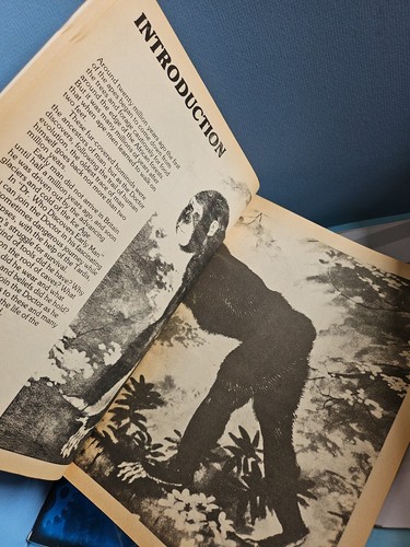 Doctor Who Discovers Early Man. 1977 Target. With Poster - Picture 9 of 17