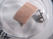 Rolex 2135 220 Setting Lever/Detente Ladies Automatic NOS NEW SEALED