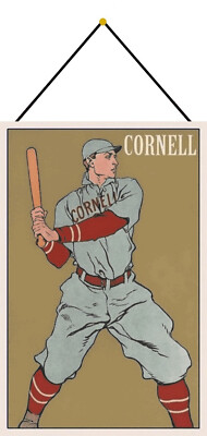 Blechschild 20x30 historisches Plakat Cornell Baseball spielen Hobby Sport USA m