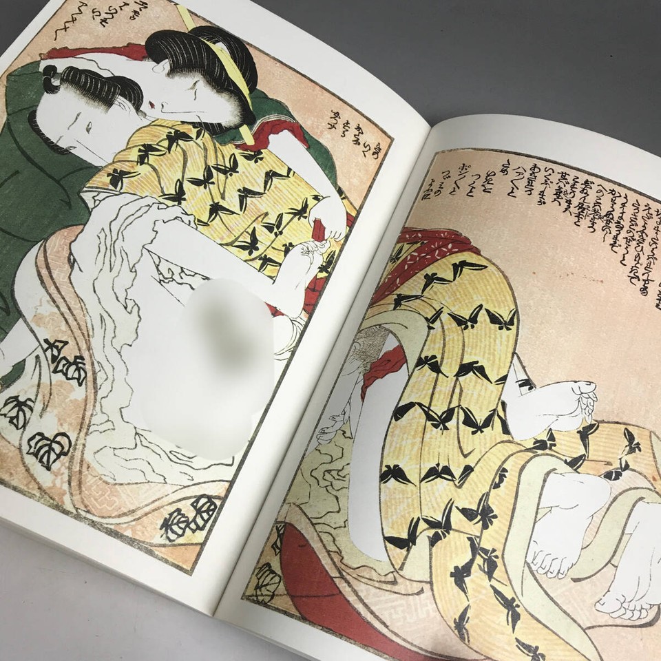 USED Books ya17 Ut27/75 Deluxe Limited Edition Eisen Pillow Ezoshi 1994