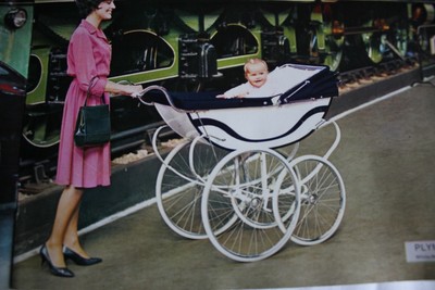pedigree pram catalogue