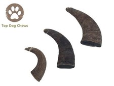 outback jack bully horn