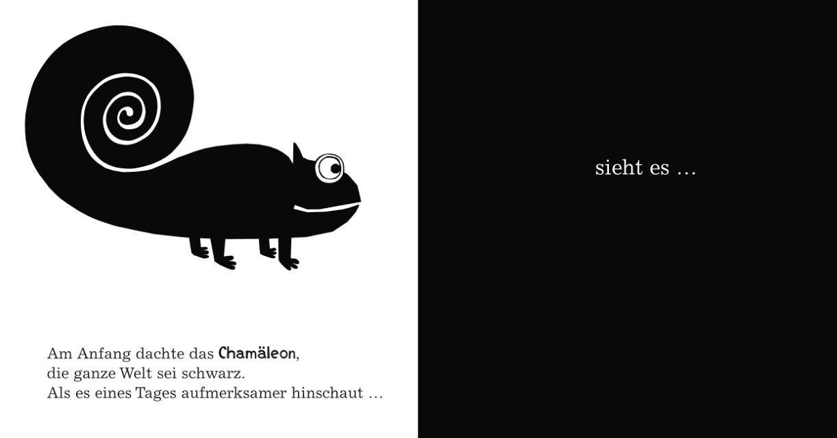 Thumbnail - Ein Chamäleon Sieht Bunt Anita Bijsterbosch