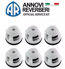 AR2186 Check Valve Set For Annovi Reverberi 2186 ITALY